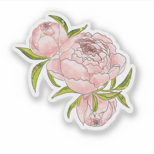 Roze pioen Waterverf handgetekende illustratie Sticker (Voorkant)