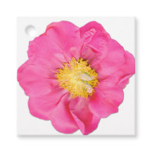 Roze Pioenbloem Botanische Vierkante Favor Taglabe