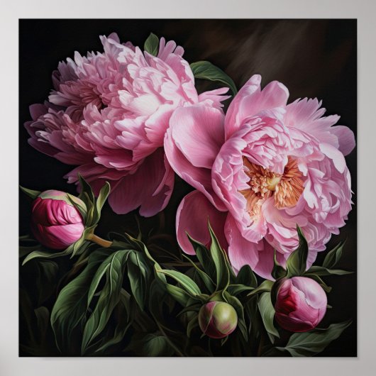 Roze Pioenen Bloem Art Print Poster (Voorkant)