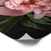 Roze Pioenen Bloem Art Print Poster (Hoek)