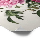 Roze Pioenen Bloem Art Print Poster (Hoek)
