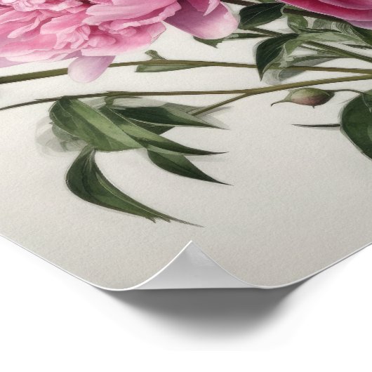 Roze Pioenen Bloem Art Print Poster (Hoek)
