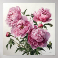 Roze Pioenen Bloem Art Print Poster
