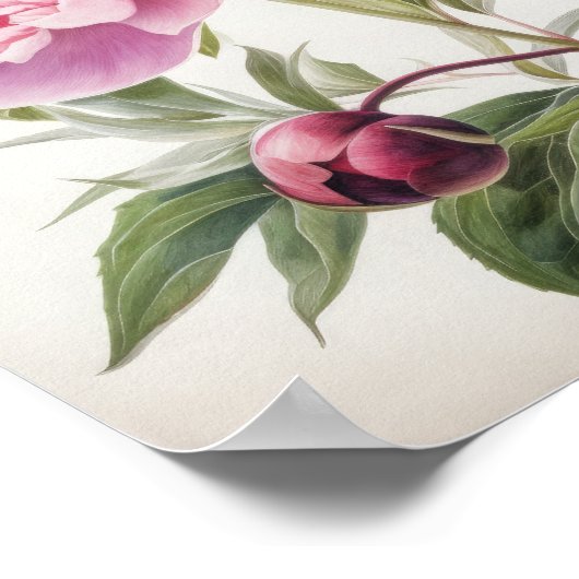 Roze Pioenen Bloem Art Print Poster (Hoek)