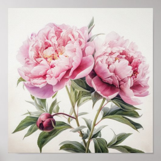 Roze Pioenen Bloem Art Print Poster (Voorkant)