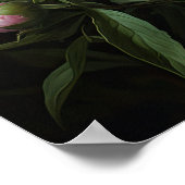 Roze Pioenen Bloem Art Print Poster (Hoek)