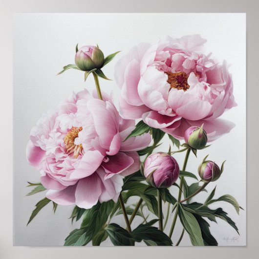 Roze Pioenen Bloem Art Print Poster (Voorkant)