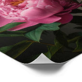 Roze Pioenen Bloem Art Print Poster (Hoek)