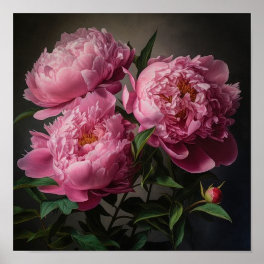 Roze Pioenen Bloem Art Print Poster (Voorkant)