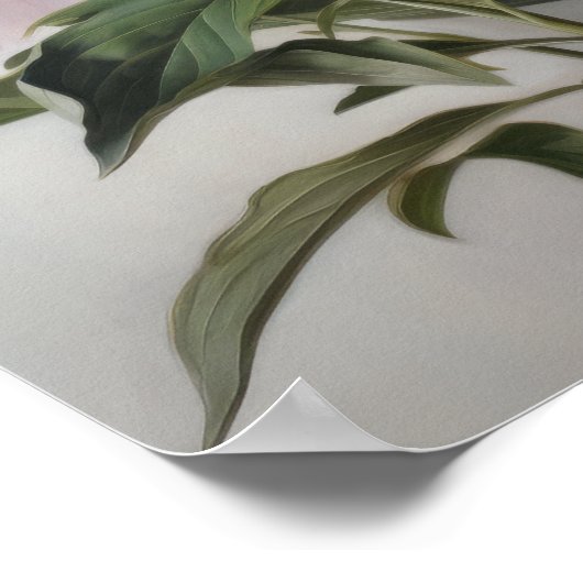 Roze Pioenen Bloem Art Print Poster (Hoek)