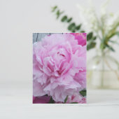 Roze pioenen / pioen Briefkaart (Staand voorkant)