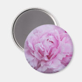 Roze Pioenen / Pioen Magneet (Voorkant / Achterkant)