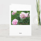 Roze Pioenen, Verjaardag Kaart (Achterkant)