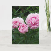 Roze Pioenen, Verjaardag Kaart (Voorkant)