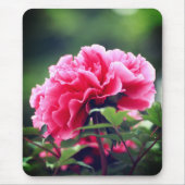 Roze pioenroos bloem in de tuin-33333 muismat (Voorkant)