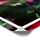 Roze pioenroos bloem in de tuin-33333 perfect poster (Hoek)