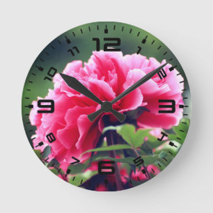 Roze pioenroos bloem in de tuin-33333 ronde klok