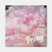 Roze pioenroos bloesem voor pioen liefhebbers magneet (Voorkant)