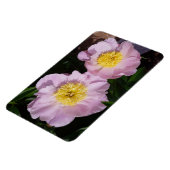 Roze Pioenrozen Magneet (Linkerzijde)