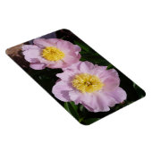 Roze Pioenrozen Magneet (Rechterzijde)