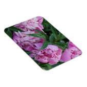 Roze Pioenrozen Magneet (Rechterzijde)