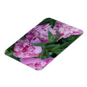 Roze Pioenrozen Magneet (Linkerzijde)