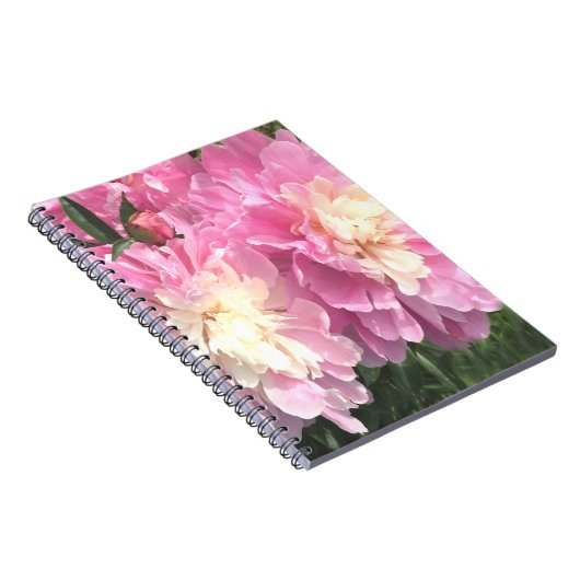 Roze Pioenrozen Notitieboek (Rechterzijde)