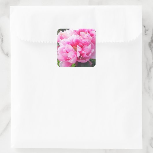 Roze Pioenrozen Vierkante Sticker (Tas)