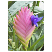 Roze Plant van tropische kieuwen Klembord (Achterkant)