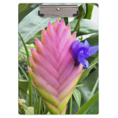 Roze Plant van tropische kieuwen Klembord (Voorkant)