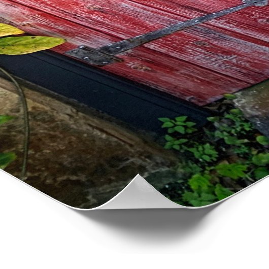 Roze Planten Hood Door St Augustine Florida Foto Poster (Hoek)