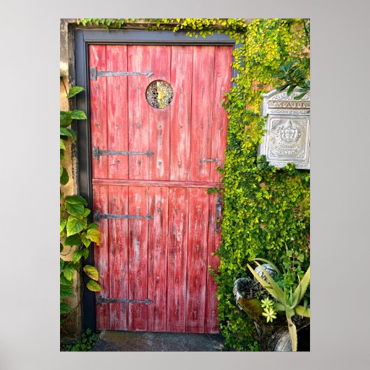 Roze Planten Hood Door St Augustine Florida Foto Poster (Voorkant)