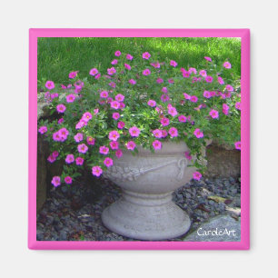 Roze planter Magnet