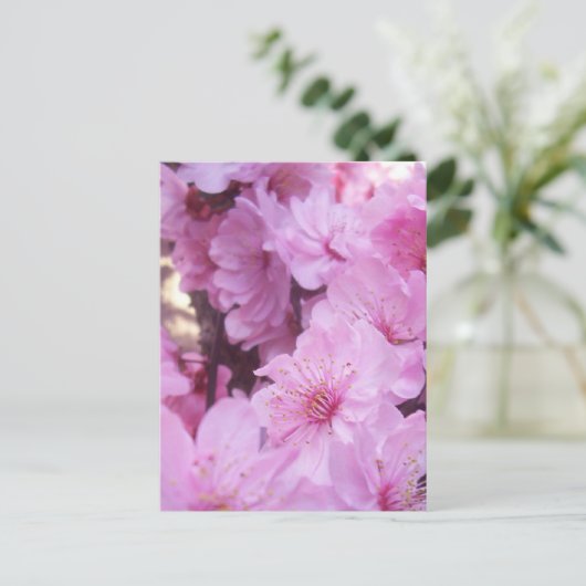 Roze platte bloesems briefkaart (Staand voorkant)