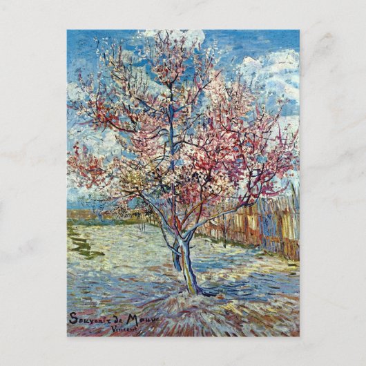 Roze platte structuur Van Gogh Fine Art Briefkaart (Voorkant)