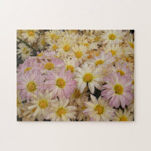 Roze pleisters Puzzle Legpuzzel