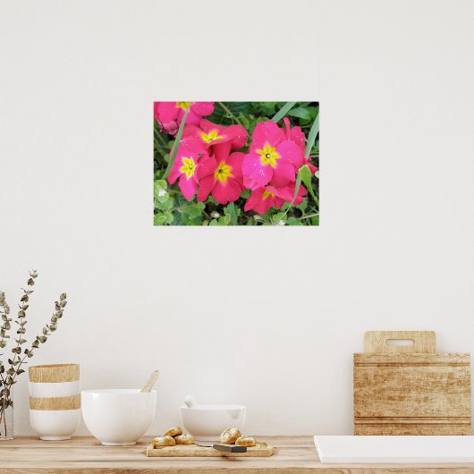 Roze Ployanthus Print (Keuken)