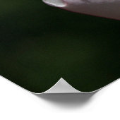 Roze Plumeria Art Print (Hoek)