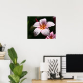 Roze Plumeria Art Print (Thuiskantoor)