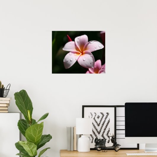 Roze Plumeria Art Print (Thuiskantoor)