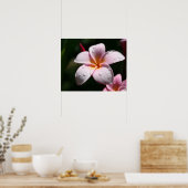 Roze Plumeria Art Print (Keuken)
