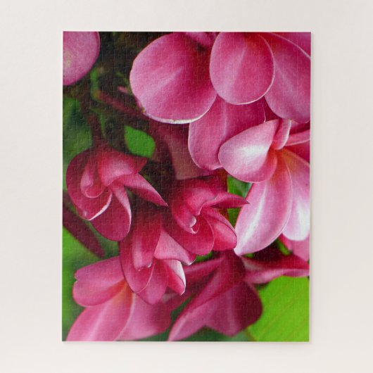 Roze Plumeria Bloem Foto Legpuzzel (Verticaal)