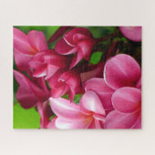 Roze Plumeria Bloem Foto Legpuzzel (Horizontaal)
