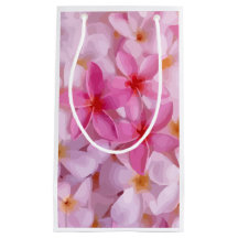 Roze Plumeria Bloem Patroon
