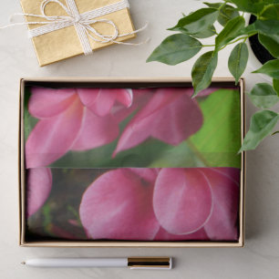 Roze Plumeria Bloemen Foto Tissuepapier