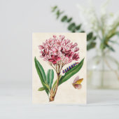 Roze Plumeria  Botanisch Briefkaart (Staand voorkant)
