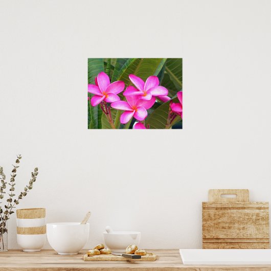 Roze Plumeria Flower Print (Keuken)