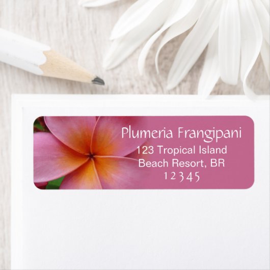 Roze Plumeria Frangipani Flower Tropical Address Etiket (Insitu)