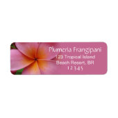 Roze Plumeria Frangipani Flower Tropical Address Etiket (Voorkant)