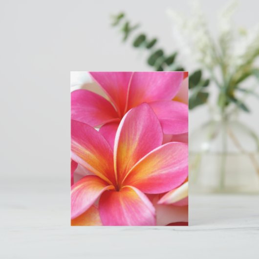 Roze Plumeria Frangipani Hawaii Flower Hawaiian Briefkaart (Staand voorkant)